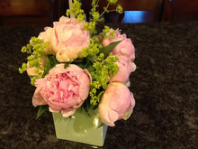 Load image into Gallery viewer, Peony Autens Pride Potted Plant