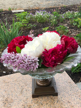 Load image into Gallery viewer, Henry Sass Roots