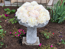 Load image into Gallery viewer, Henry Sass Roots