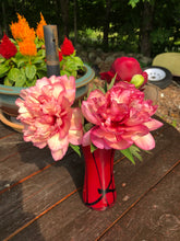 Load image into Gallery viewer, Hillary Itoh Roots