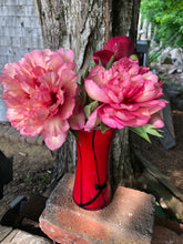 Load image into Gallery viewer, Hillary Itoh Roots