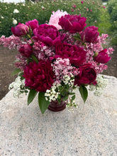 Load image into Gallery viewer, Felix Supreme Roots