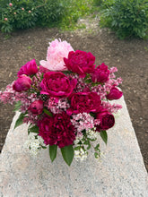 Load image into Gallery viewer, Felix Supreme Roots