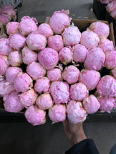 Load image into Gallery viewer, Pillow Talk Roots