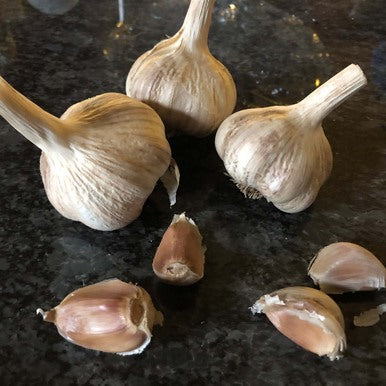 Metechi Certified Organic Garlic